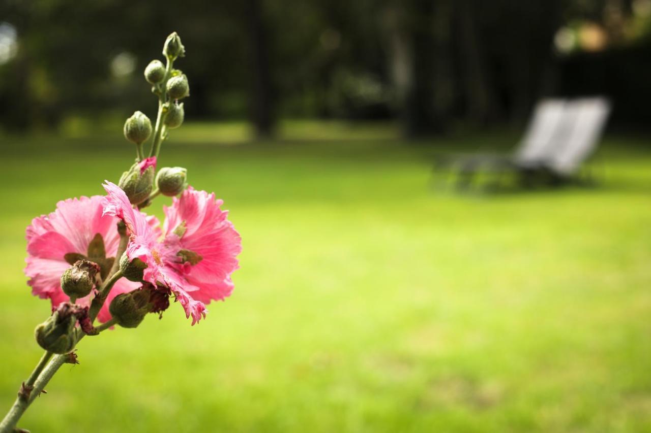ลา เบล มงซวส Bed & Breakfast Mons-en-Baroeul ภายนอก รูปภาพ
